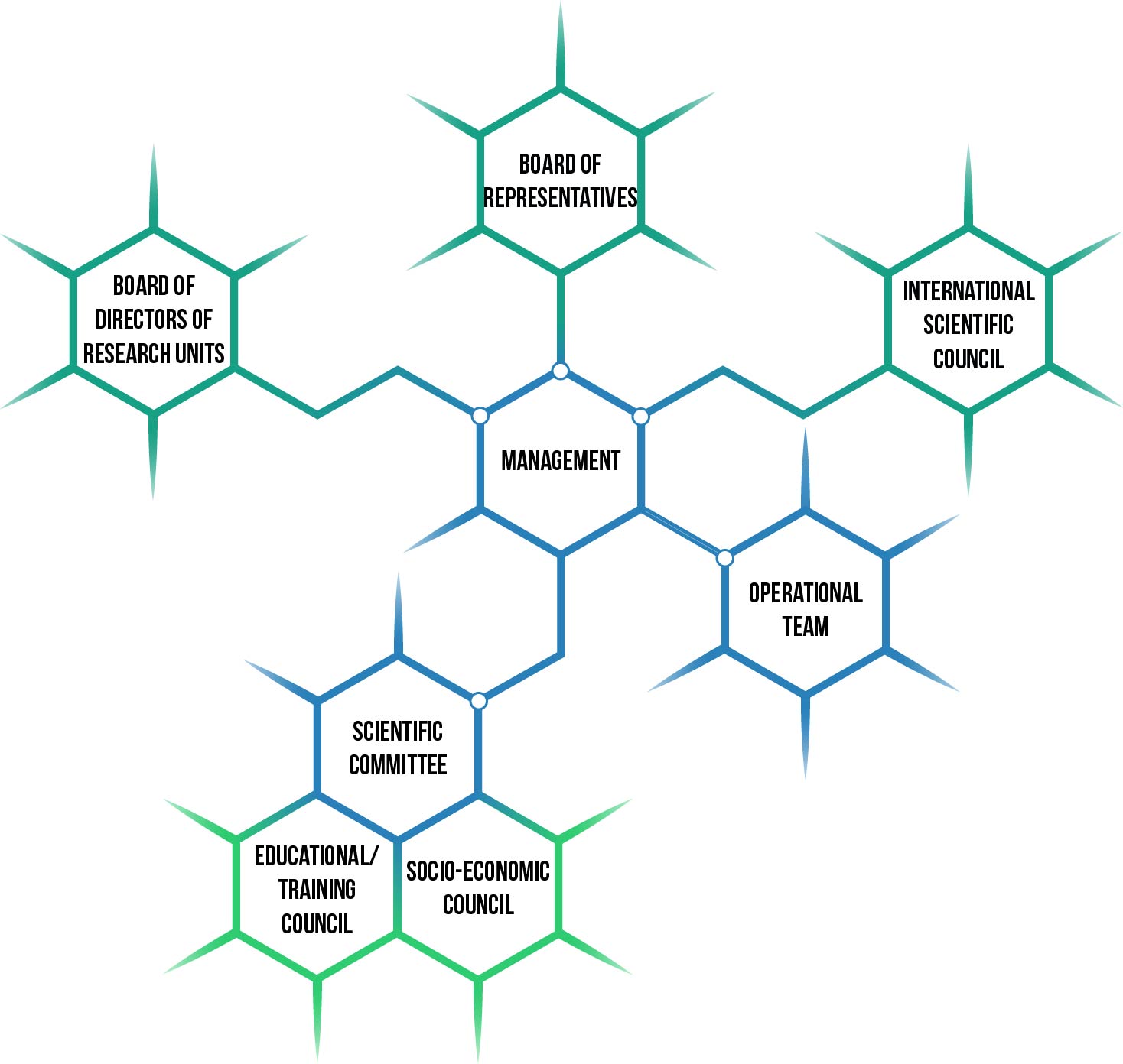 organigramme cellsV2