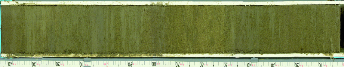 Figure1 Caley