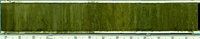 Figure1 Caley